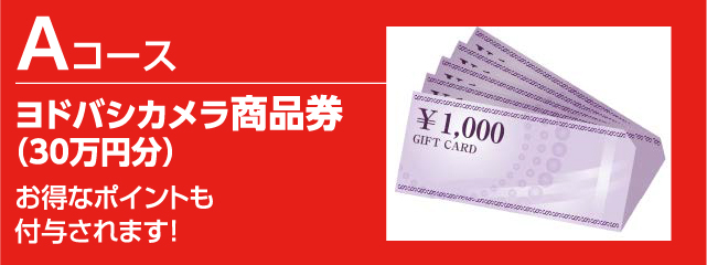 Aコース
ヨドバシカメラ商品券（30万円分）
お得なポイントも付与されます！